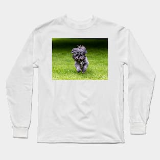 Rosie the Shih Tzu running Long Sleeve T-Shirt